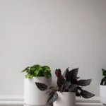 ceramic-planter-white-13-5cm