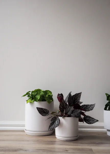 ceramic-planter-white-13-5cm