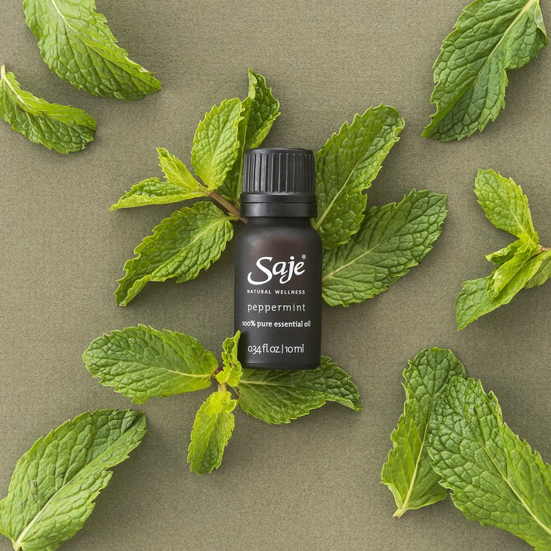 peppermint-100%-pure-essential-oil
