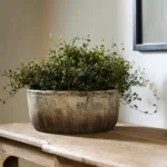 textured-wide-plant-pot