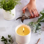 calming-blend-botanical-candle