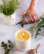 calming-blend-botanical-candle