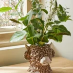 hamish-the-highland-cow-flower-vase