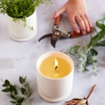 yuzu-and-kumquat-botanical-candle