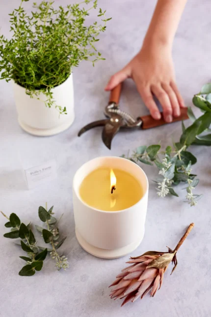 yuzu-and-kumquat-botanical-candle