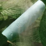 Sweet Mint Lip Balms