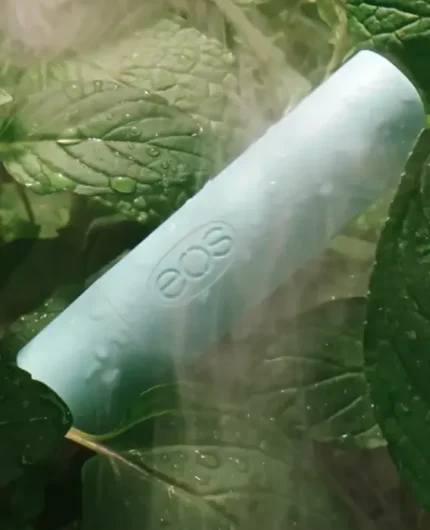 Sweet Mint Lip Balms