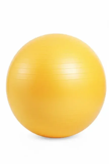 65cm-anti-burst-slow-leak-deluxe-yoga-ball