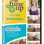 Yoga Tune Up At Home Program - Introduction DVD