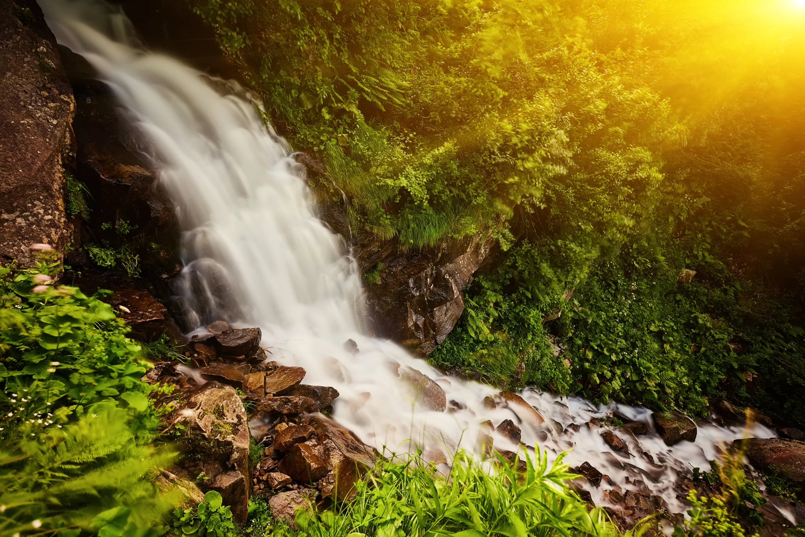 Watershed Health